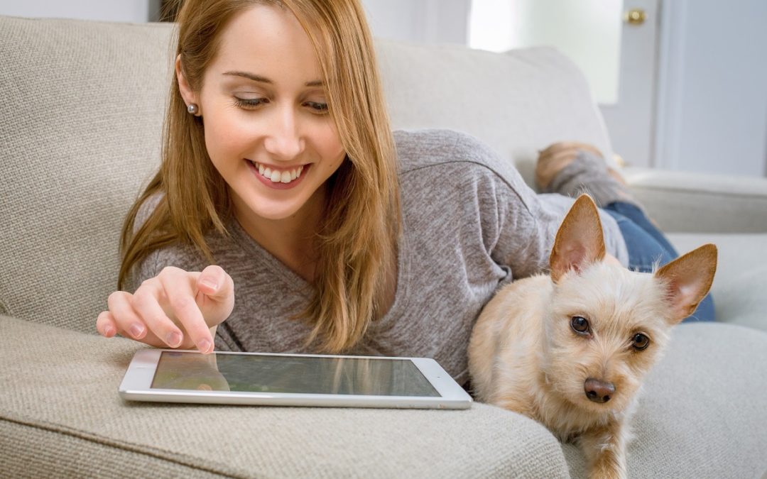 Tech Ideas For the Dog Lover (That you can’t live without)