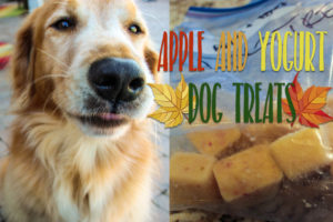 apple and yogurt dog treats