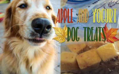 apple and yogurt dog treats