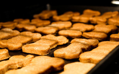 Pumpkin and Peanut Butter Dog Treats