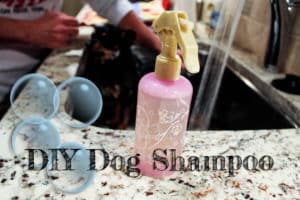 diy dog shampoo