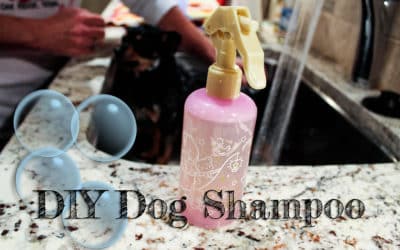 diy dog shampoo