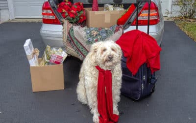 Tips For Traveling with Your Pets During the Holidays