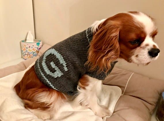 Dog sweater – etsy dot com