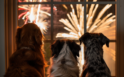 4th of July Dogs