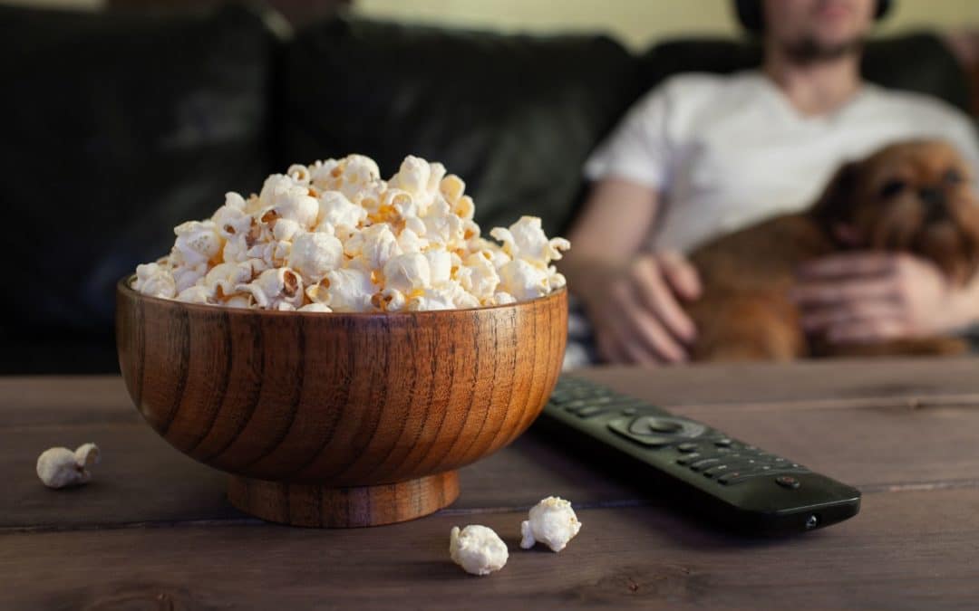 8 Dog Movies to Watch During the Holidays