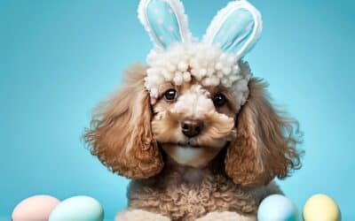 How to Spend Easter with Your Dog
