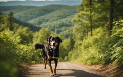 Best Dog Hiking Trails in Tennessee