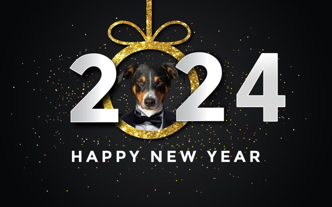 New Year’s Resolutions For Your Dog