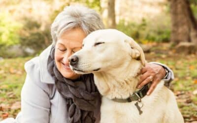 Understanding the Basics of Senior Dog Health