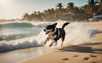 Discover the Best Dog-Friendly Activities in Florida