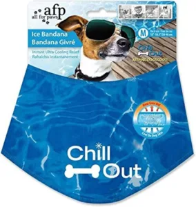 All For Paws Chill Out