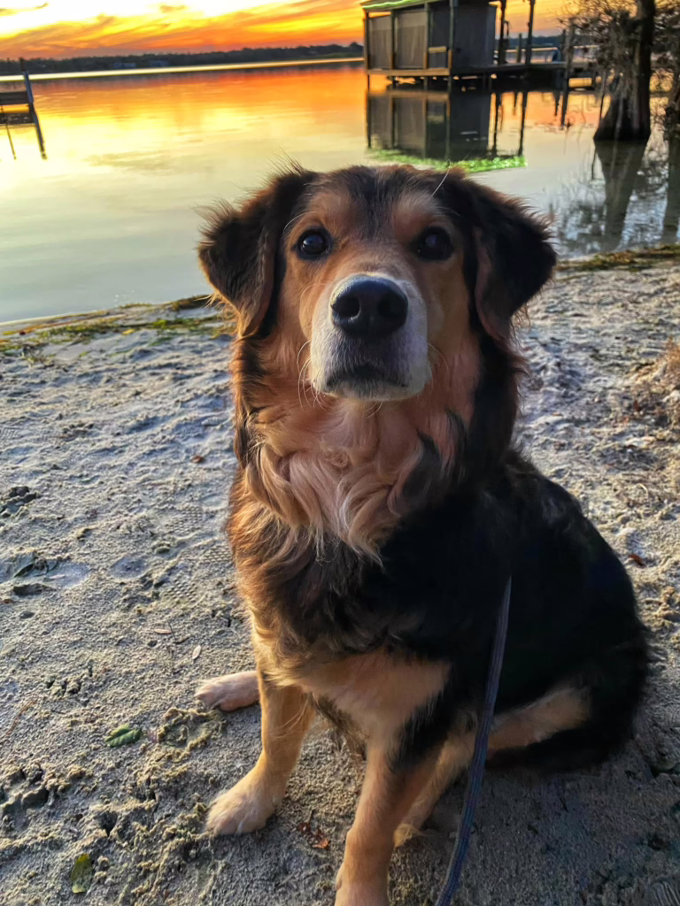 Rainey - LCW at Sunset