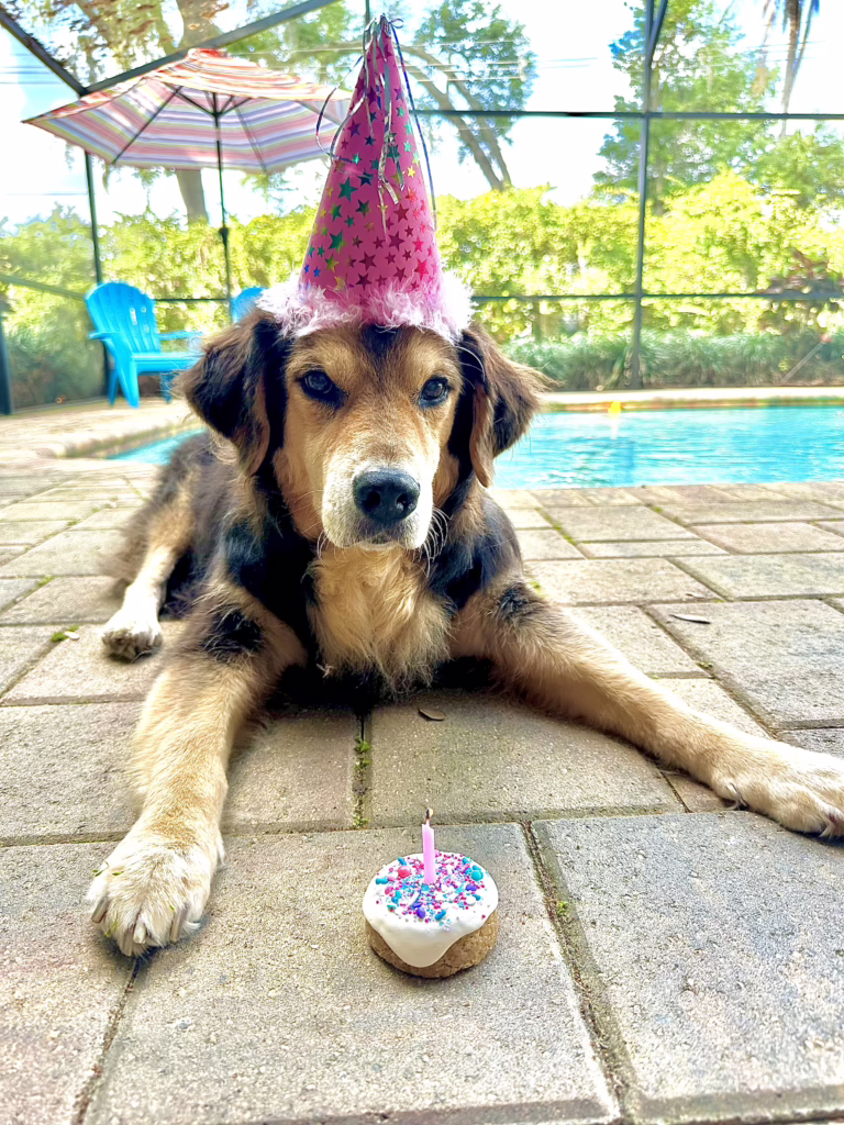 Rainey's 18th Birthday